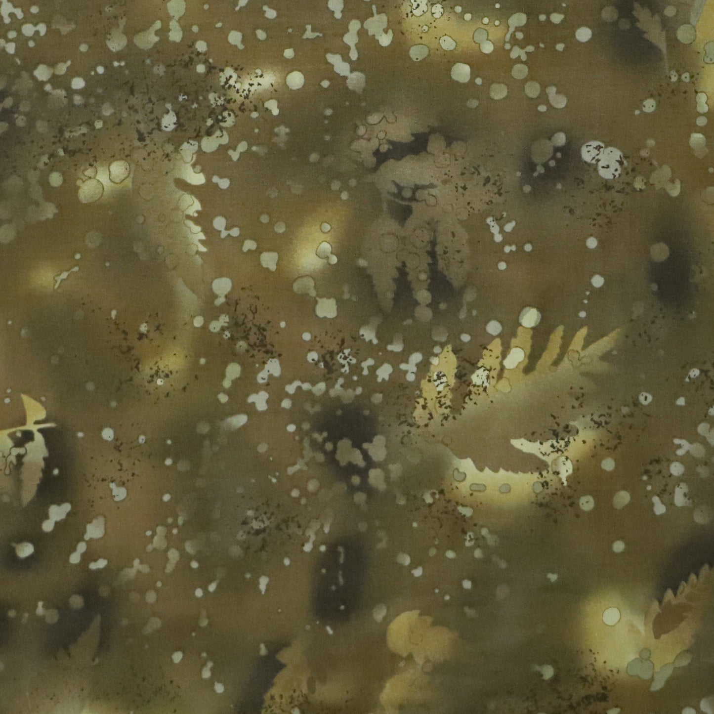Fossil Fern: Greek Olive