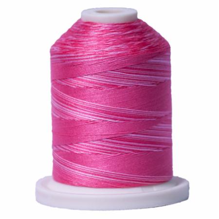 Signature 40: 700 yard Variegated Coloured Thread