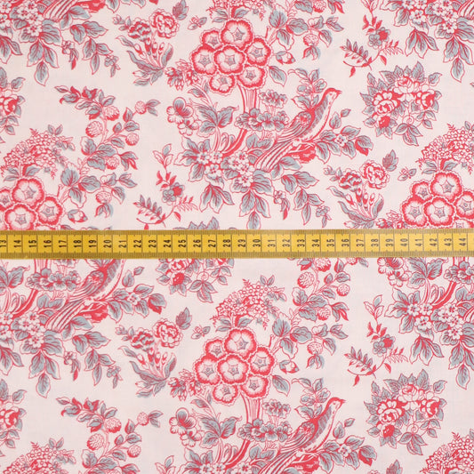 Jane Austen: Charlotte