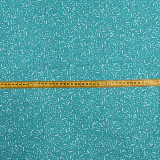 Little Creatures: Aqua