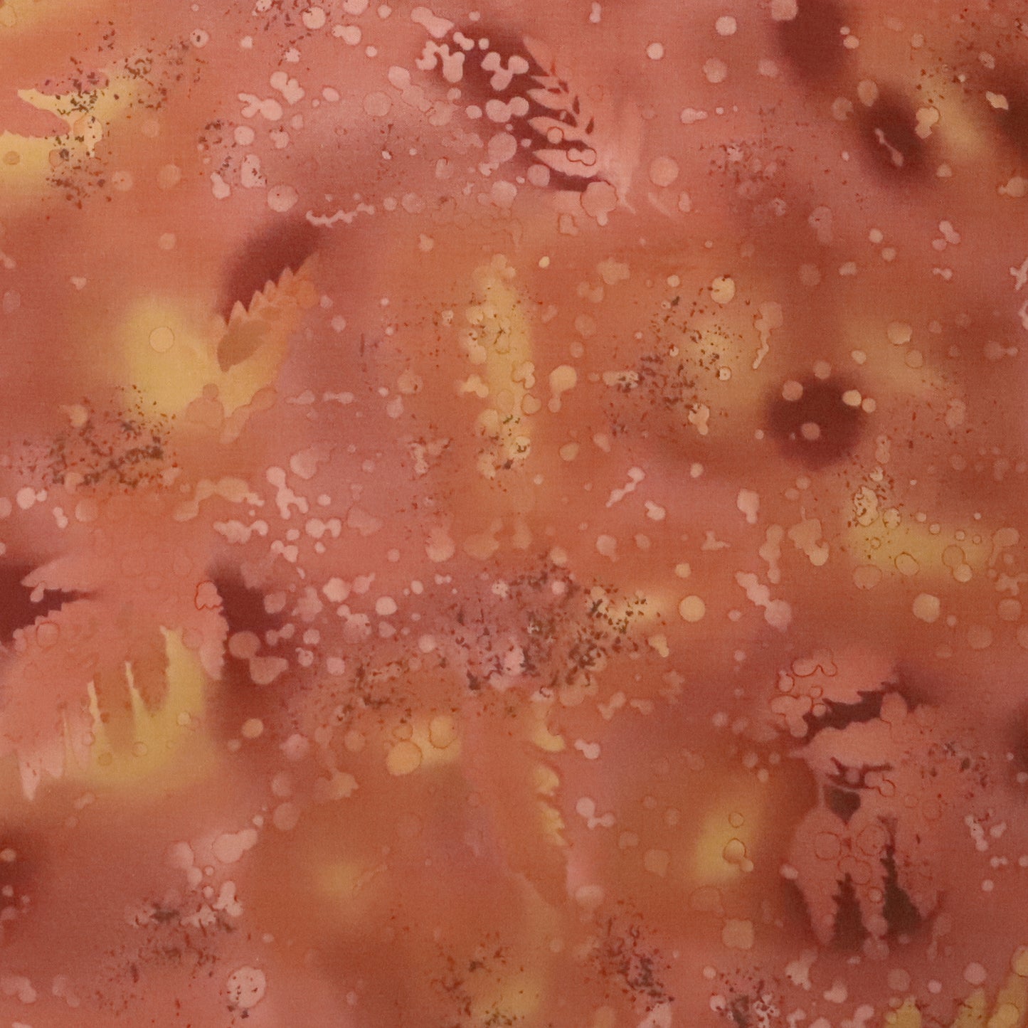 Fossil Fern: Cocoa