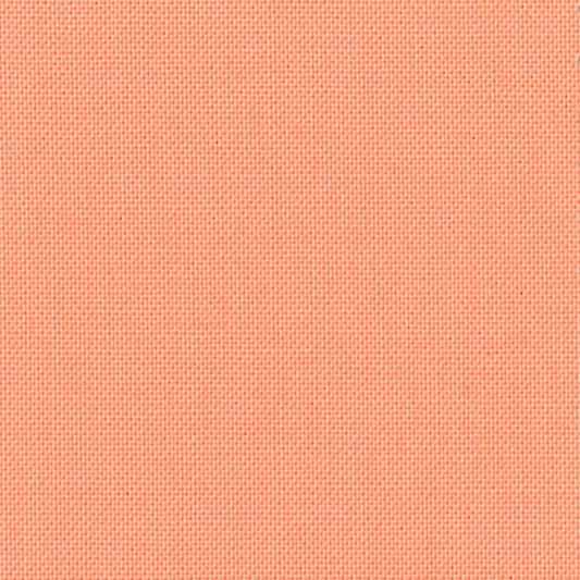Devonstone Solids: Protea