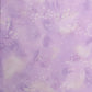 Fossil Fern: Wisteria