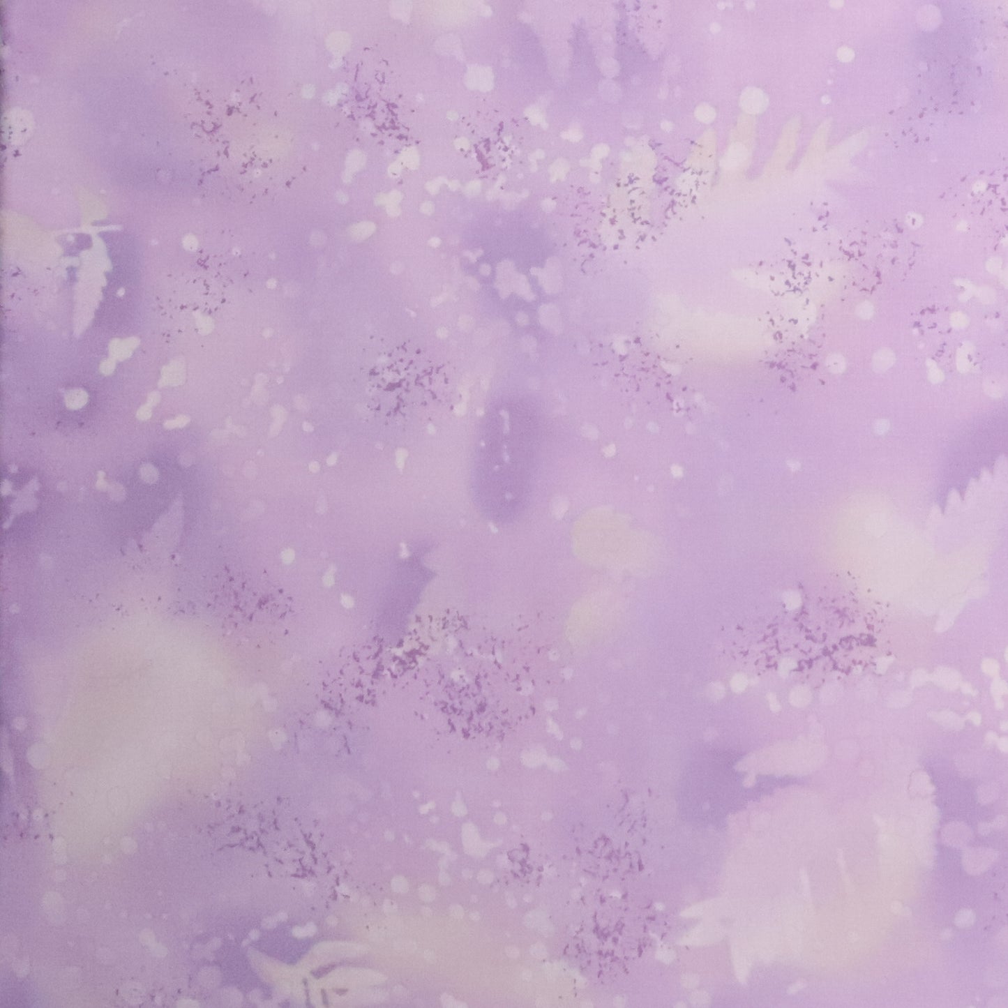Fossil Fern: Wisteria