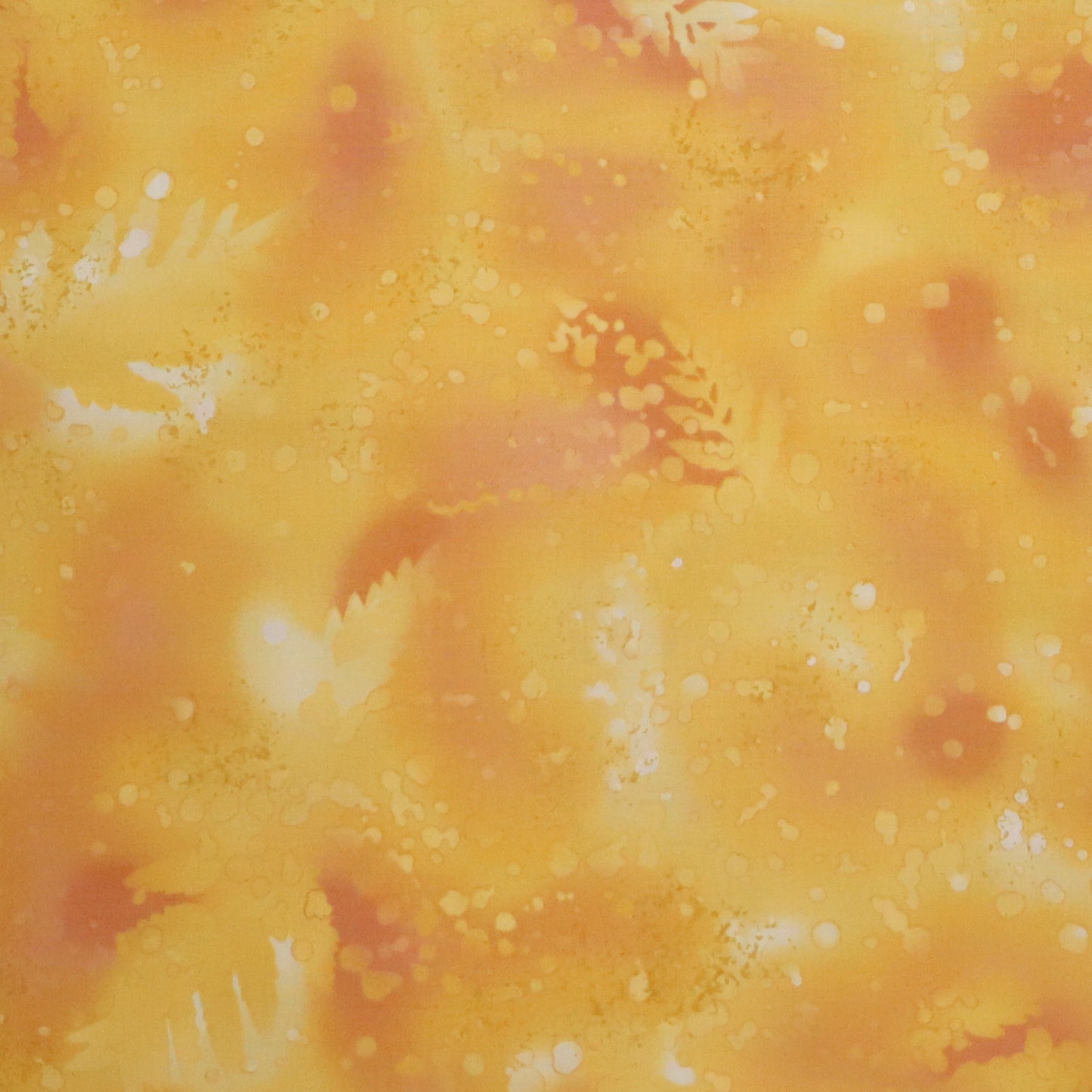 Fossil Fern: Butter Nut