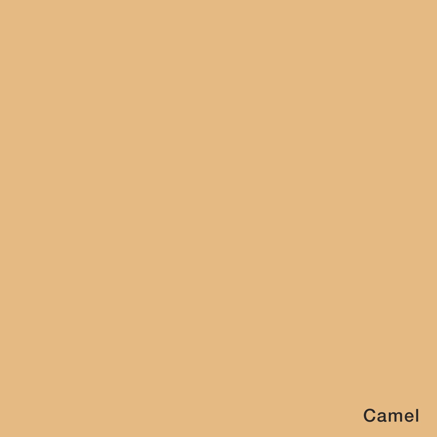 Signature 40: 3000 yard Solid Coloured Thread