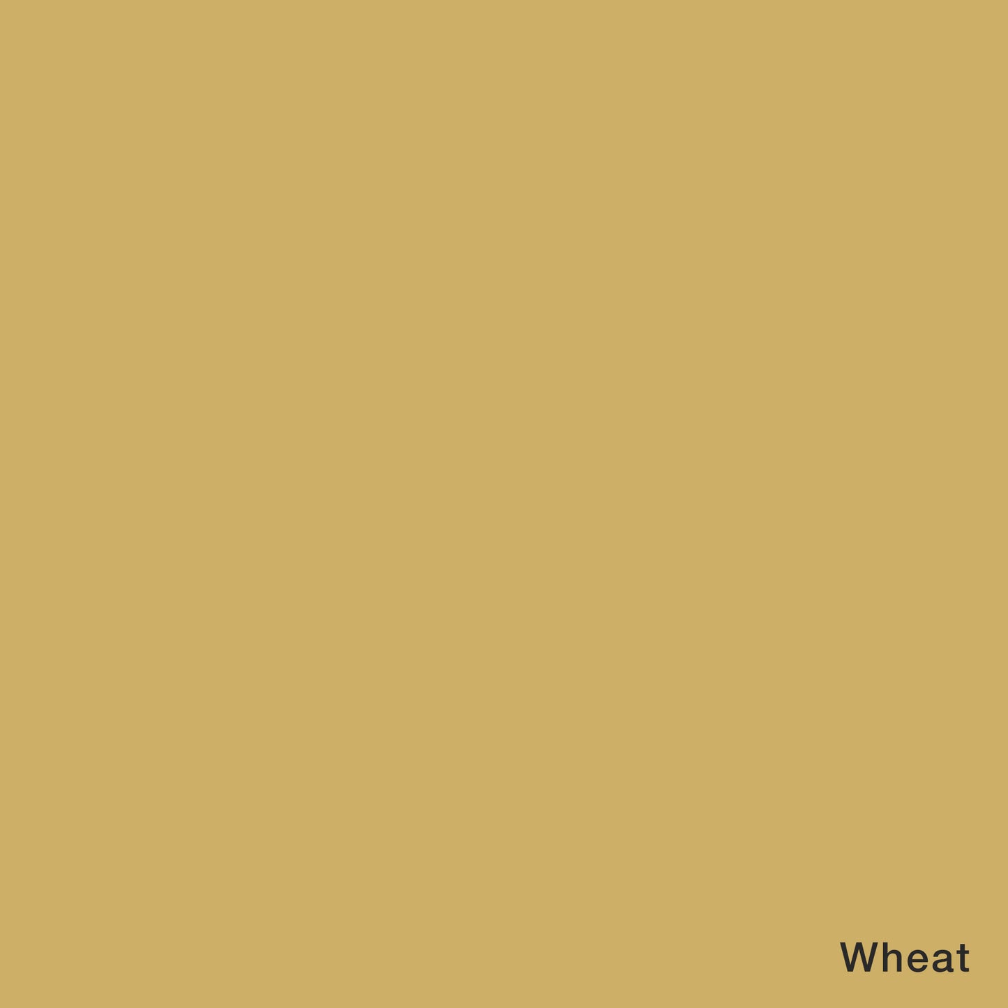 Signature 40: 700 Yard Solid Coloured Thread