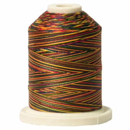 Signature 40: 700 yard Variegated Coloured Thread