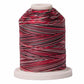 Signature 40: 700 yard Variegated Coloured Thread