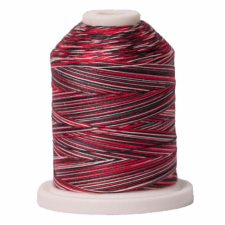 Signature 40: 700 yard Variegated Coloured Thread