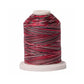 Signature 40: 700 yard Variegated Coloured Thread