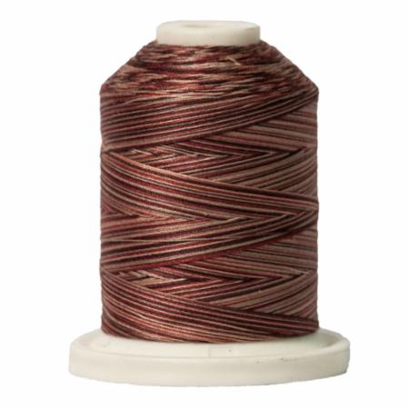 Signature 40: 700 yard Variegated Coloured Thread