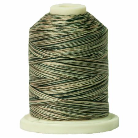 Signature 40: 700 yard Variegated Coloured Thread