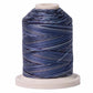 Signature 40: 700 yard Variegated Coloured Thread