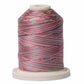 Signature 40: 700 yard Variegated Coloured Thread
