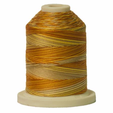 Signature 40: 700 yard Variegated Coloured Thread