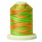 Signature 40: 700 yard Variegated Coloured Thread