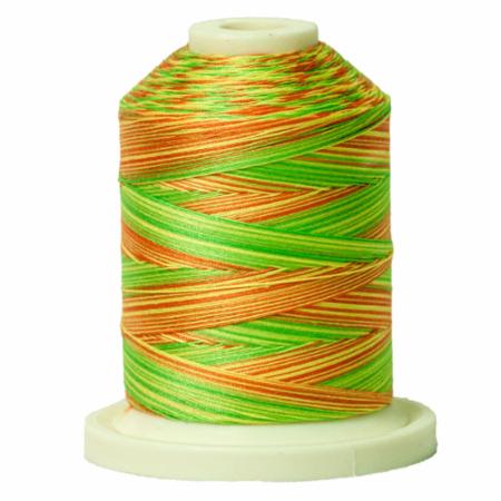 Signature 40: 700 yard Variegated Coloured Thread