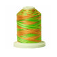 Signature 40: 700 yard Variegated Coloured Thread