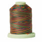 Signature 40: 700 yard Variegated Coloured Thread