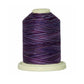 Signature 40: 700 yard Variegated Coloured Thread