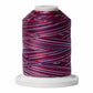 Signature 40: 700 yard Variegated Coloured Thread