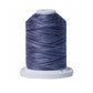 Signature 40: 700 yard Variegated Coloured Thread