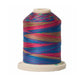 Signature 40: 700 yard Variegated Coloured Thread