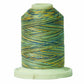 Signature 40: 700 yard Variegated Coloured Thread