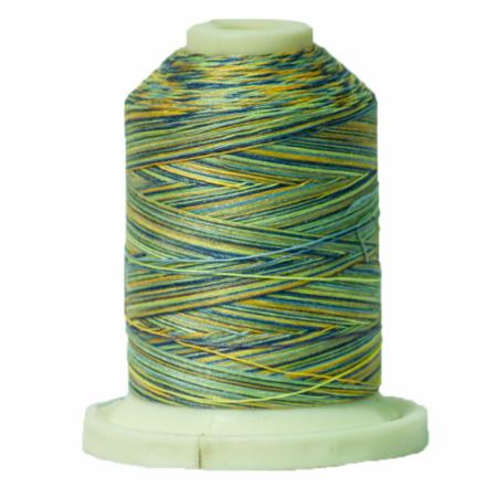 Signature 40: 700 yard Variegated Coloured Thread