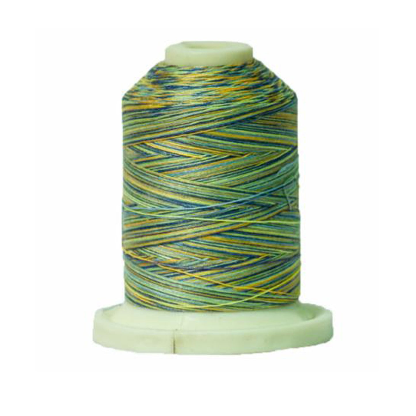 Signature 40: 700 yard Variegated Coloured Thread