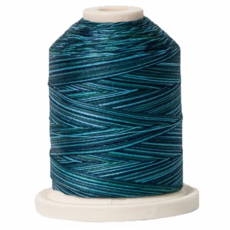 Signature 40: 700 yard Variegated Coloured Thread