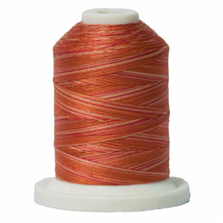 Signature 40: 700 yard Variegated Coloured Thread