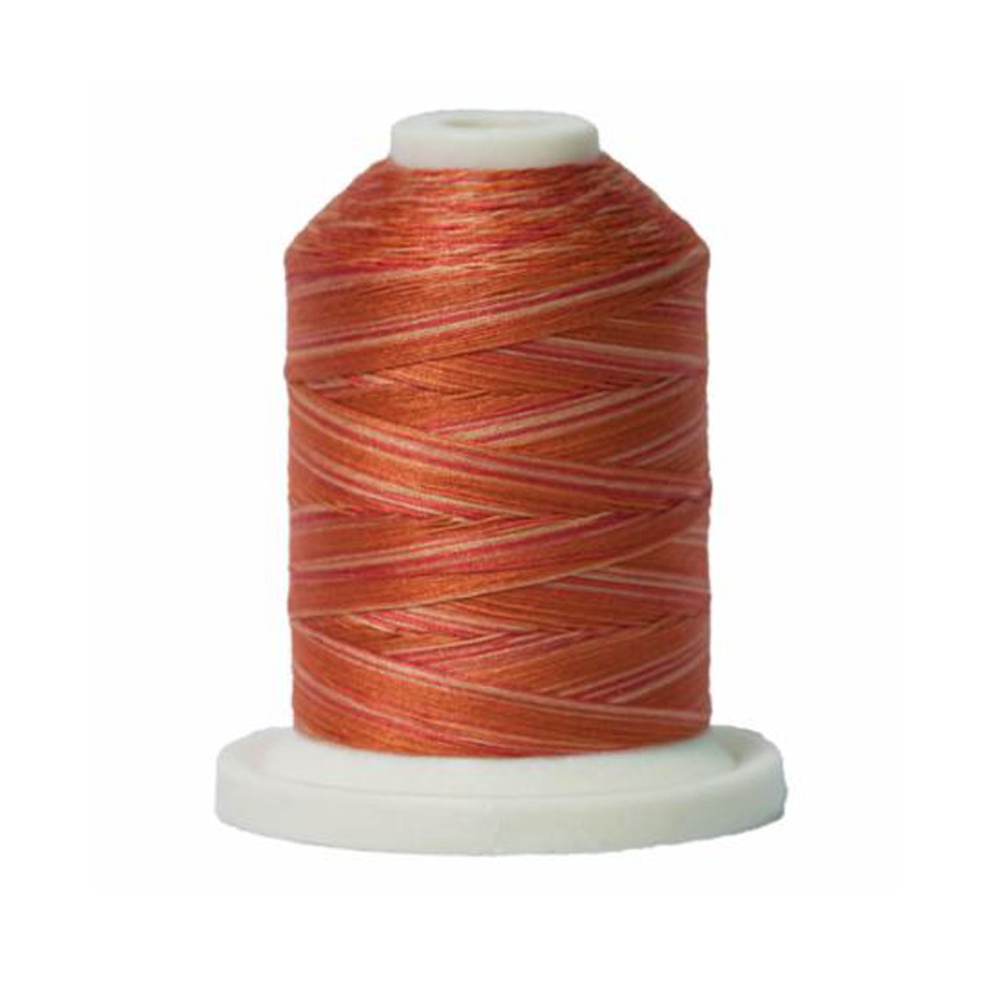 Signature 40: 700 yard Variegated Coloured Thread