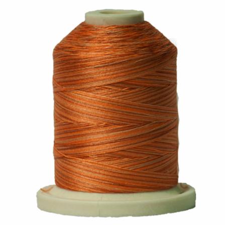 Signature 40: 700 yard Variegated Coloured Thread