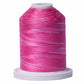 Signature 40: 700 yard Variegated Coloured Thread