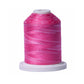 Signature 40: 700 yard Variegated Coloured Thread