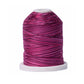 Signature 40: 700 yard Variegated Coloured Thread