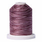 Signature 40: 700 yard Variegated Coloured Thread