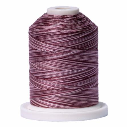 Signature 40: 700 yard Variegated Coloured Thread