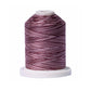 Signature 40: 700 yard Variegated Coloured Thread