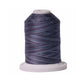 Signature 40: 700 yard Variegated Coloured Thread