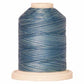 Signature 40: 700 yard Variegated Coloured Thread