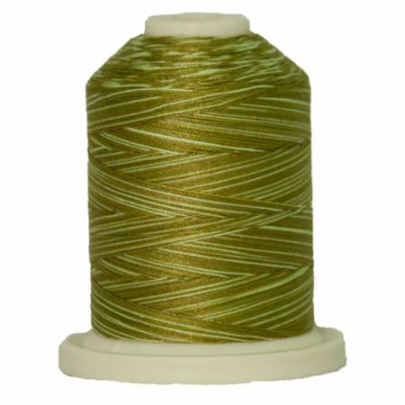 Signature 40: 700 yard Variegated Coloured Thread