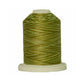 Signature 40: 700 yard Variegated Coloured Thread