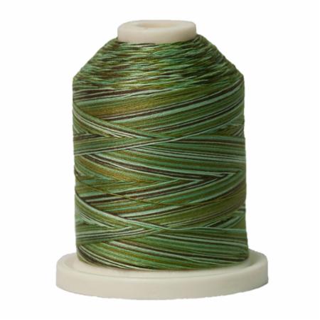 Signature 40: 700 yard Variegated Coloured Thread
