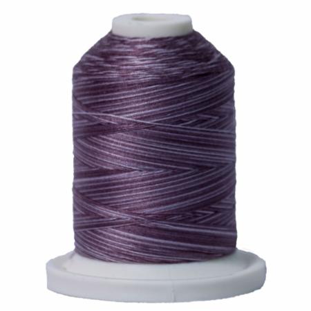 Signature 40: 700 yard Variegated Coloured Thread