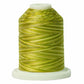 Signature 40: 700 yard Variegated Coloured Thread