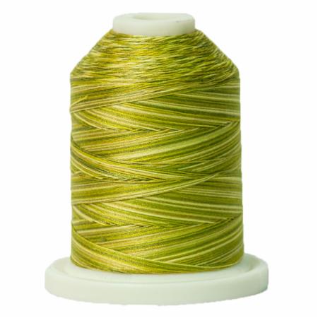 Signature 40: 700 yard Variegated Coloured Thread