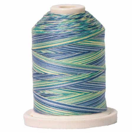 Signature 40: 700 yard Variegated Coloured Thread